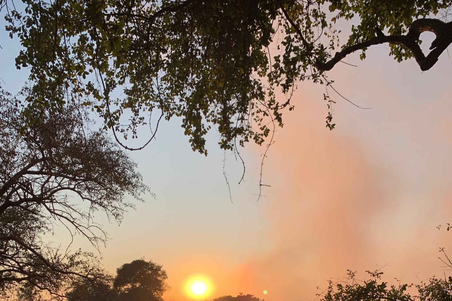 Victoria Falls: Guidet tur i regnskoven ved vandfaldene