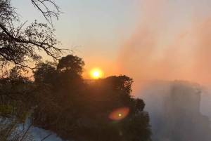 Victoria Falls: Guidet tur i regnskoven ved vandfaldene