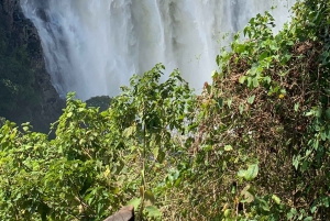 Victoria Falls: Guidet tur i regnskoven ved vandfaldene