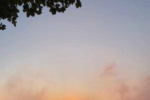 Victoria Falls: Guidet tur i regnskoven ved vandfaldene