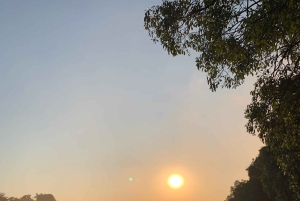 Victoria Falls: Guidet tur i regnskoven ved vandfaldene