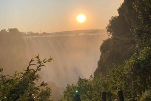 Victoria Falls: Guidet tur i regnskoven ved vandfaldene
