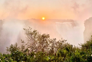 Victoria Falls: Guidet tur i regnskoven ved vandfaldene