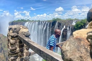 Victoriafallen: guidad tur vid Victoriafallen Zambia