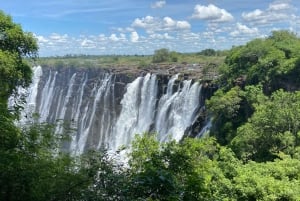 Chutes Victoria : visite guidée des chutes Victoria Zambie