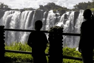 Victoria Falls: Guided Tour of Zimbabwe & Zambia Sides