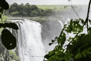 Victoria Falls: Guided Tour of Zimbabwe & Zambia Sides