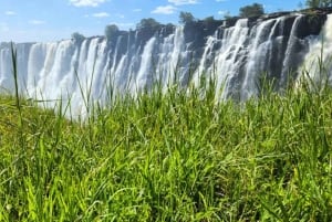 Victoria Falls: Guided Tour of Zimbabwe & Zambia Sides