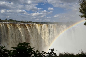 Victoria Falls: Guided Tour, Sunset Cruise, and Dinner