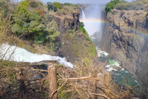Victoria Falls: Guided Tour, Sunset Cruise, and Dinner