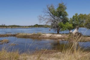 Victoria Falls: Guided Tour Zambia and Zimbabwe