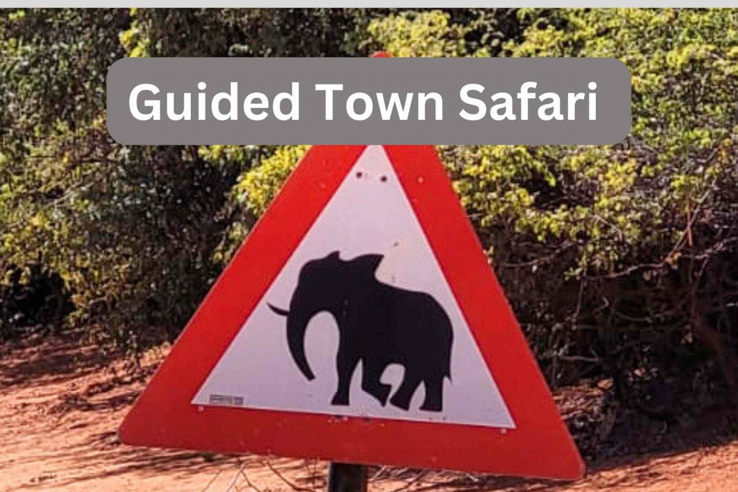 Victoria Falls:Guided Town Safari