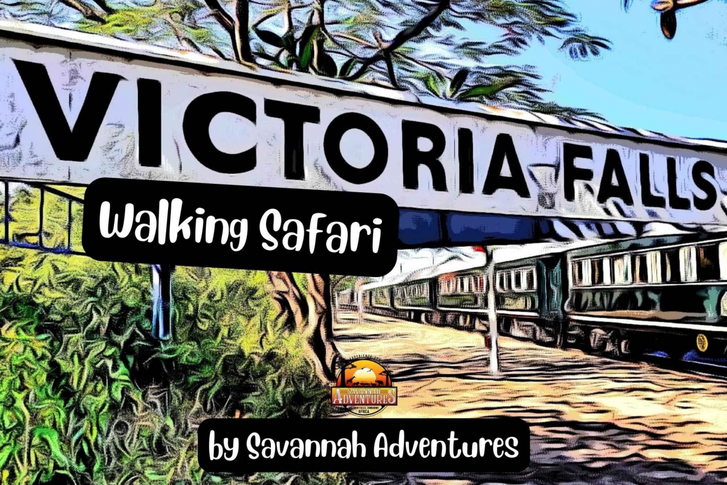 Victoria Falls:Guided Town Safari