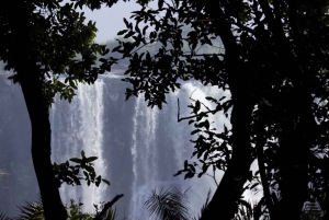 Victoria Falls: Guided Walking Tour