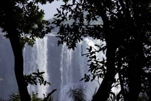 Victoriawatervallen: begeleide wandeling