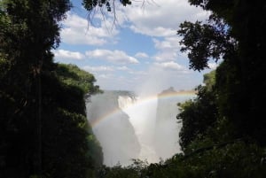 Wodospady Wiktorii: wycieczka piesza z przewodnikiem