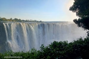 Victoria Falls: Guided Walking Tour