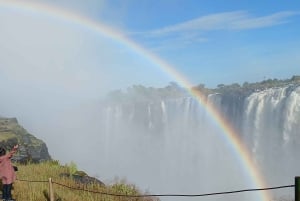 Victoria Falls: Guided Walking Tour