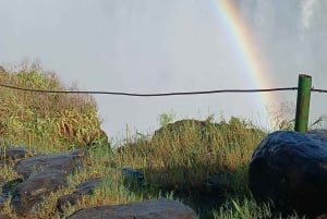 Victoria Falls: Guided Walking Tour
