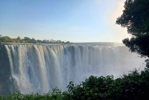 Victoria Falls: Guided Walking Tour