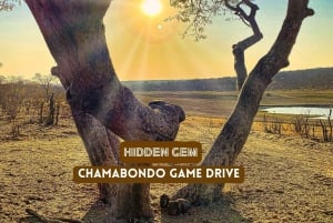 Victoria Falls: Hidden Gem: Chamabondo Game Drive