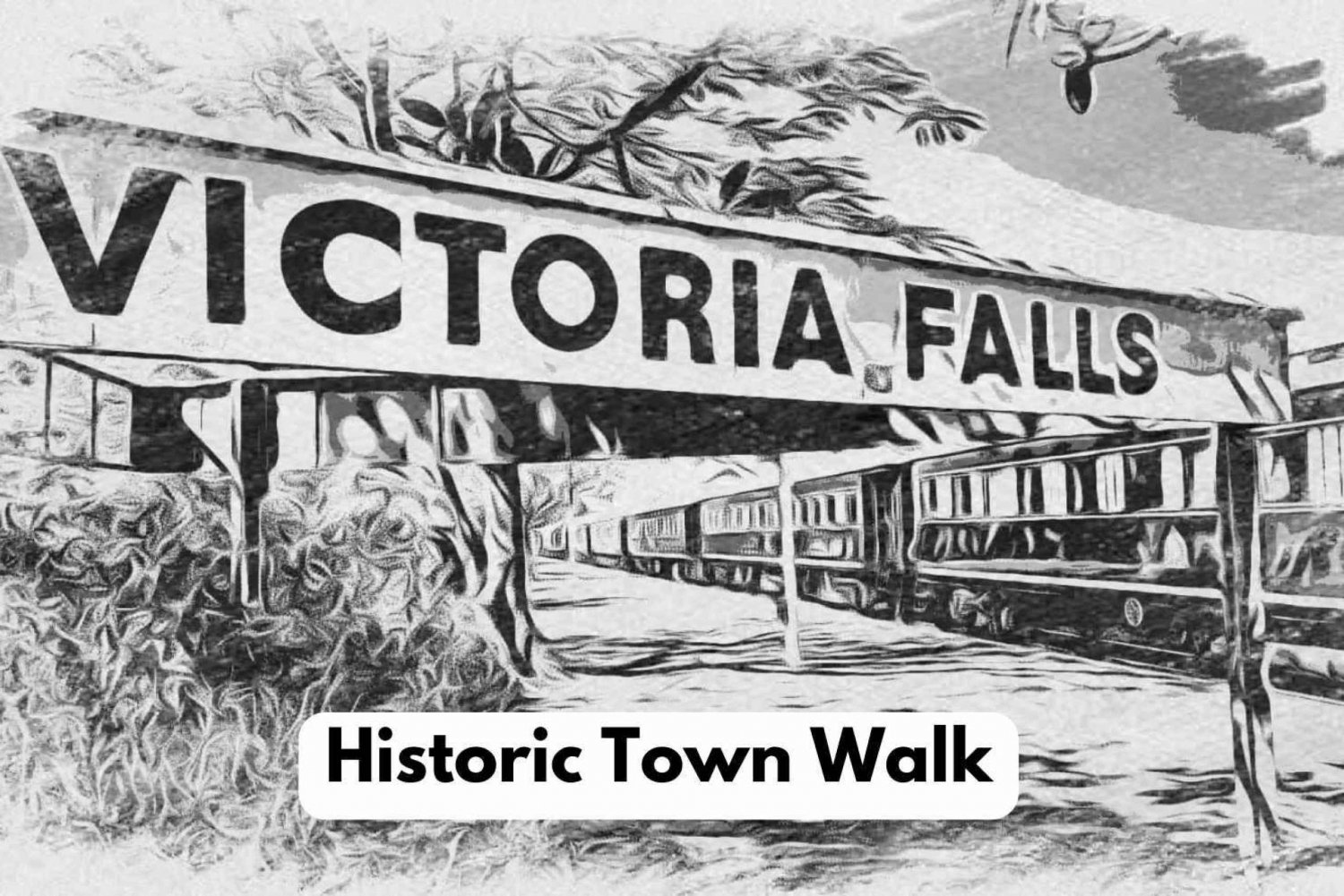 Victoria Falls : Visite à pied de la ville historique + promenade dans la brousse