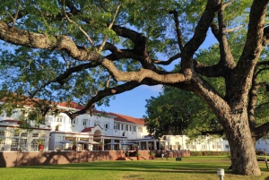 Victoria Falls: Historic Town Tour + Bush Walk