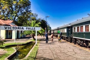 Victoria Falls : Visite à pied de la ville historique + promenade dans la brousse