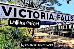 Victoria Falls: Historische Stadtrundfahrt + Buschwanderung