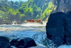 Victoria Falls: Jetboat Adventure Experience