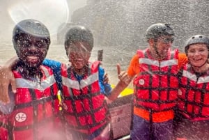 Victoria Falls: Jetboat Adventure Experience