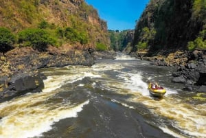 Wodospady Wiktorii: Jetboat Adventure Experience