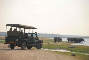 Victoria Falls/Kasane: Chobe National Park Day Trip