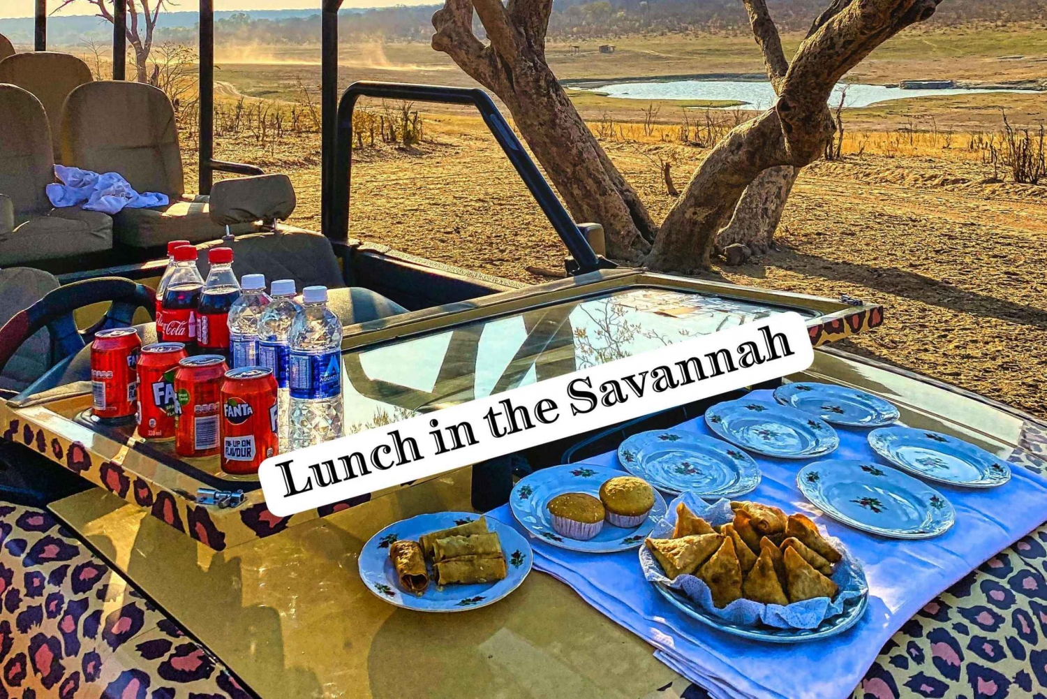 Victoria Falls: Lunch in the Savannah