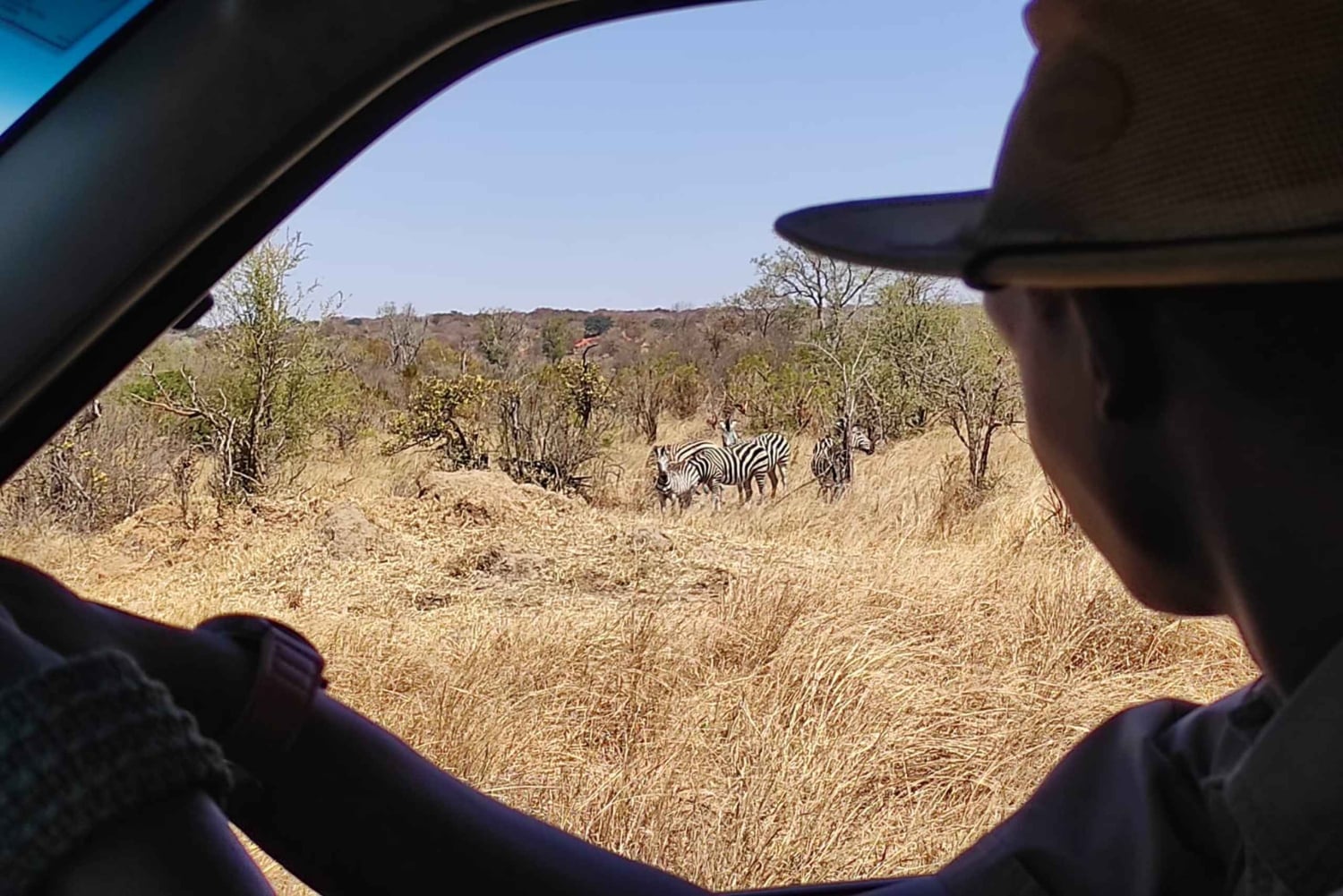 Victoria Falls: Lunch in the Savannah
