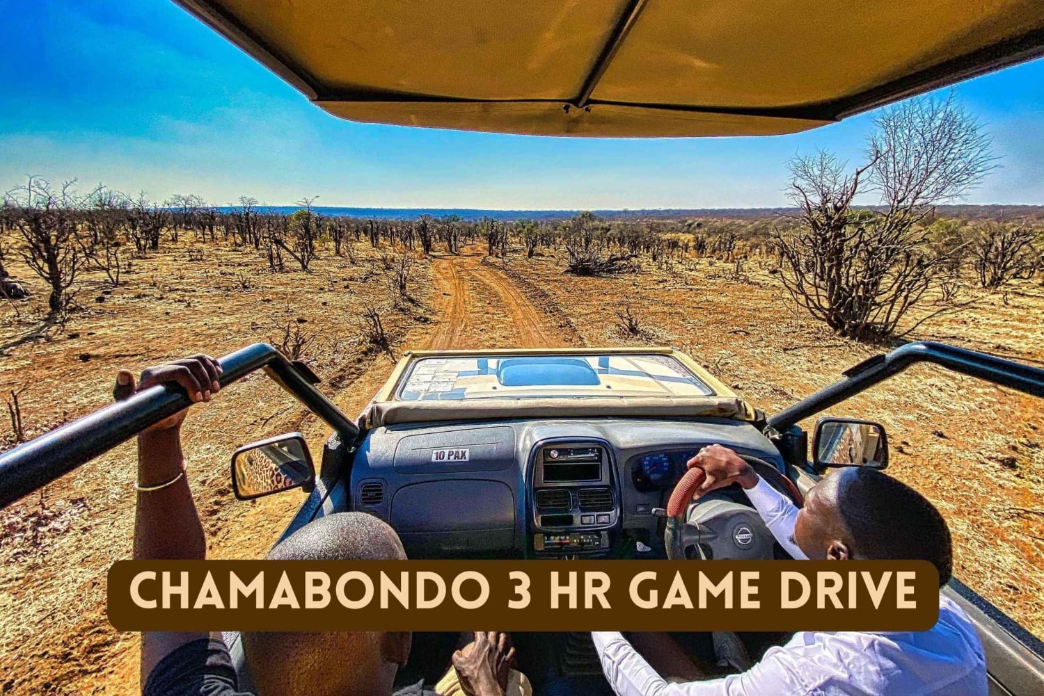 Victoria Falls: Lunch in the Savannah