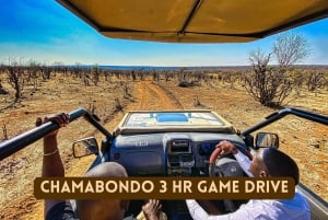 Victoria Falls: Lunch in the Savannah