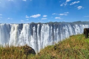 Avventura di lusso di un giorno alle Cascate Vittoria con volo in elicottero