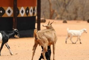 Avventura di lusso di un giorno alle Cascate Vittoria con volo in elicottero