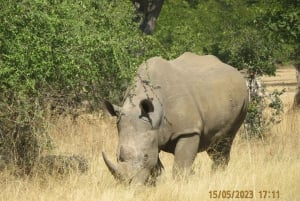 Victoria Falls, Mosi-oa-Tunya National Park & Museum