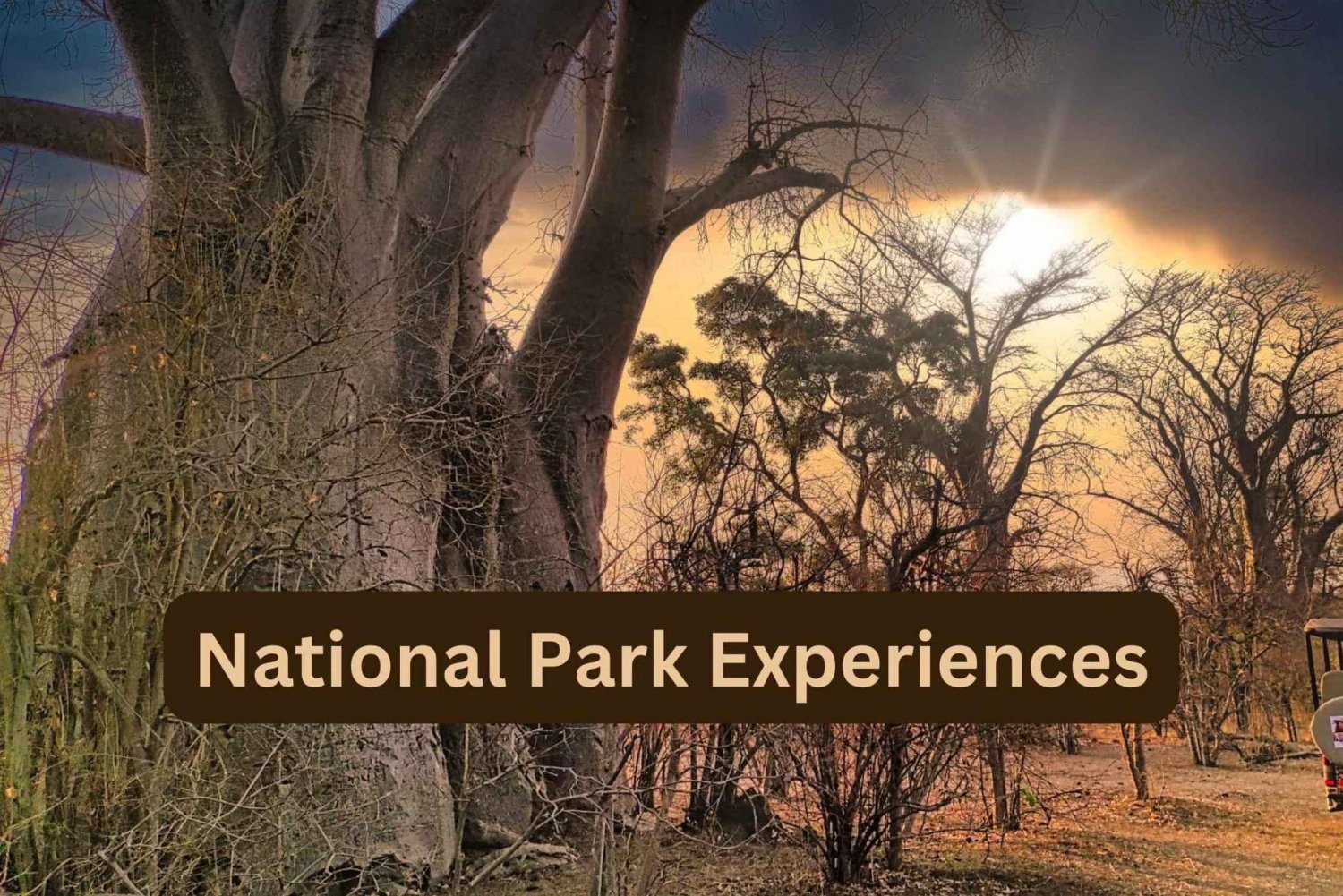 Victoria Falls: National Park Experiences