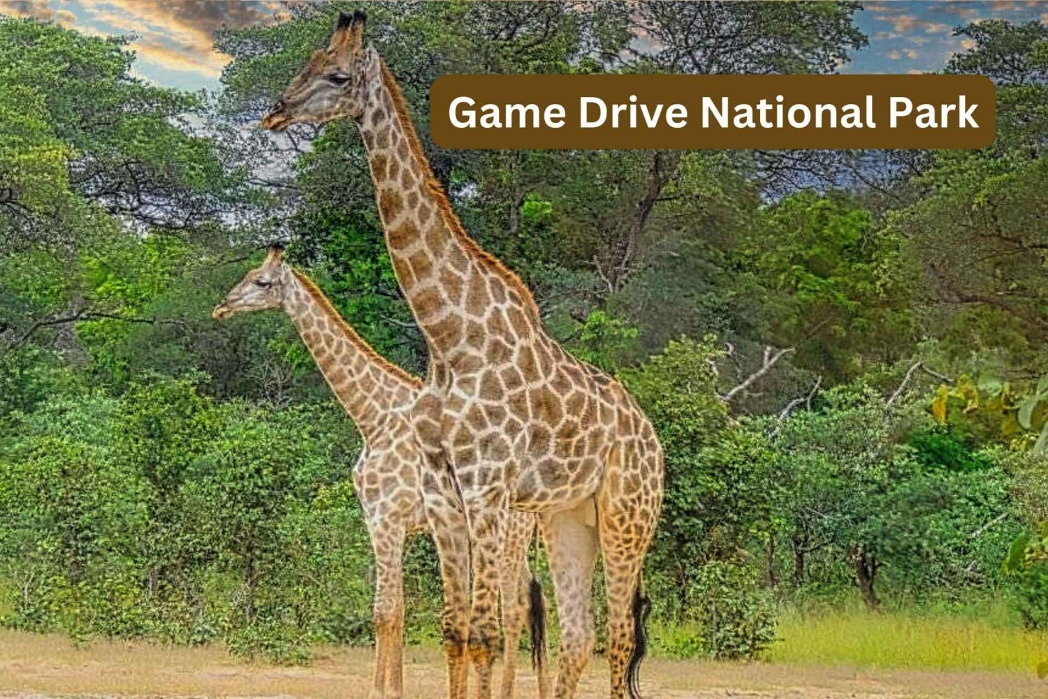 Victoria Watervallen: Game drive in nationaal park
