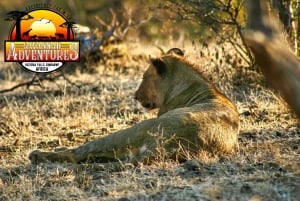 Victoria Falls: National Park Game drive