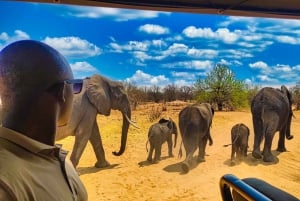 Victoria Falls: Køretur til nationalparken