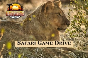 Victoria Watervallen: Game drive in het nationale park