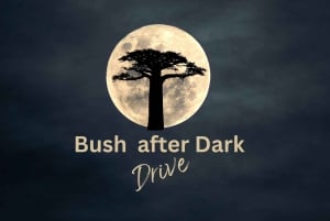 Victoria Falls : Night Drive Experience