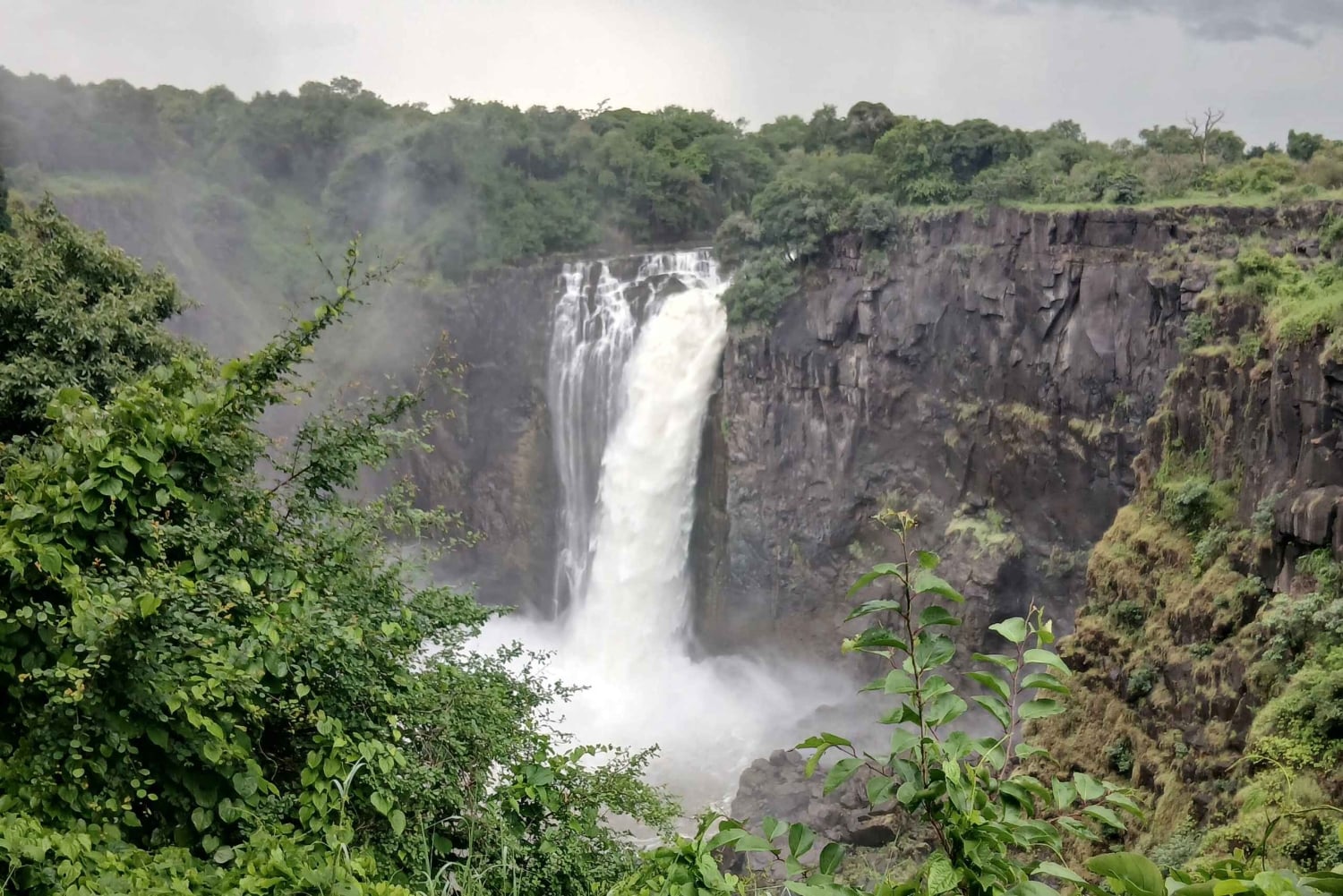 Victoria Falls:old age private guided tour