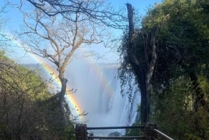 Victoria Falls:old age private guided tour
