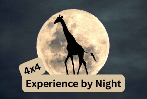 Victoria Falls Park: 4x4 Experience by Night in Vic Falls