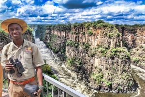 Victoria Falls: Private historische Stadtrundfahrt + Buschwanderung